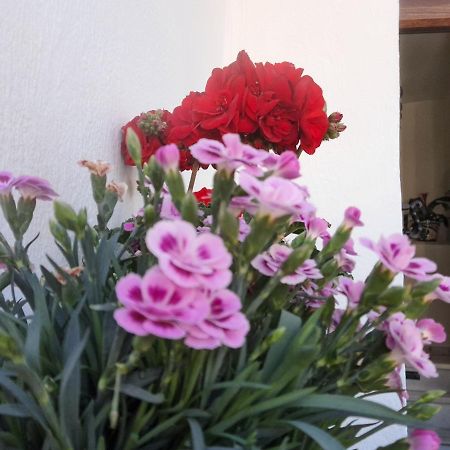 Apartamento "La Vina" Μάλαγα Εξωτερικό φωτογραφία